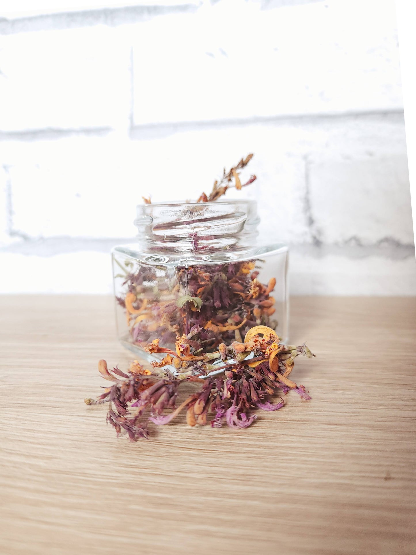 Agastache