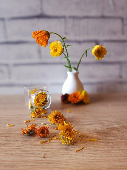 Calendula