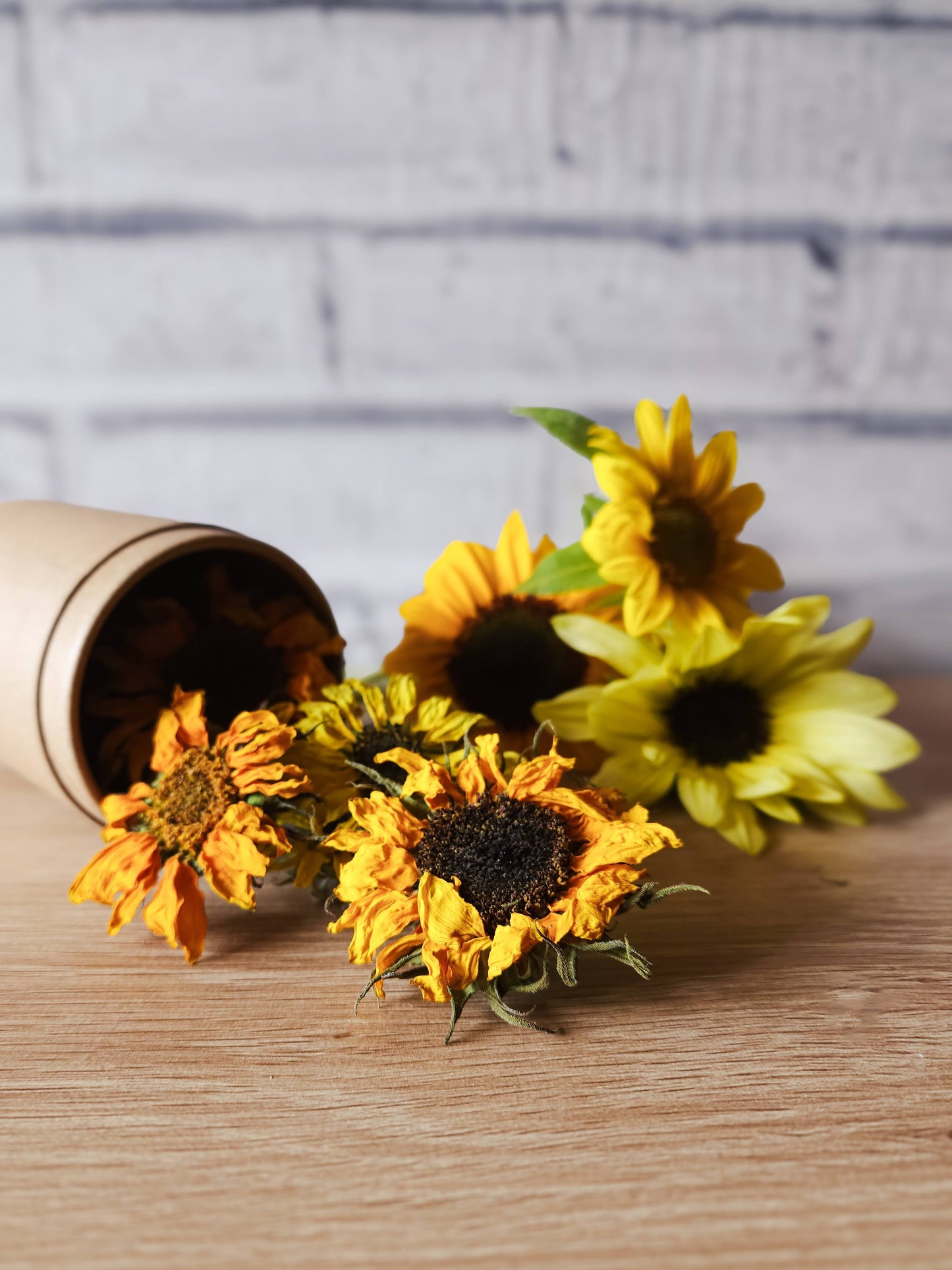 Whole small sunflowers