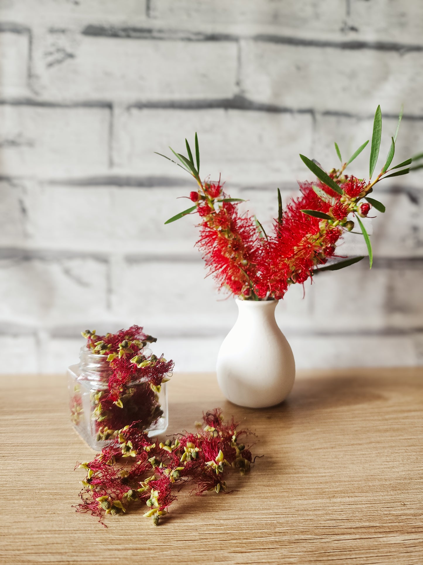 Bottlebrush Flowers