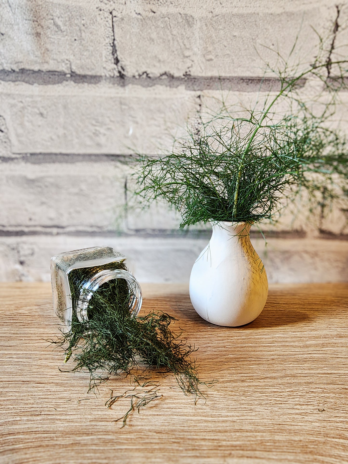 Fennel Fronds