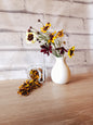 Coreopsis