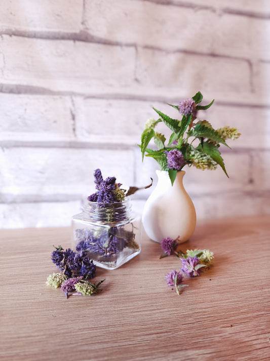 Hyssop Flowers