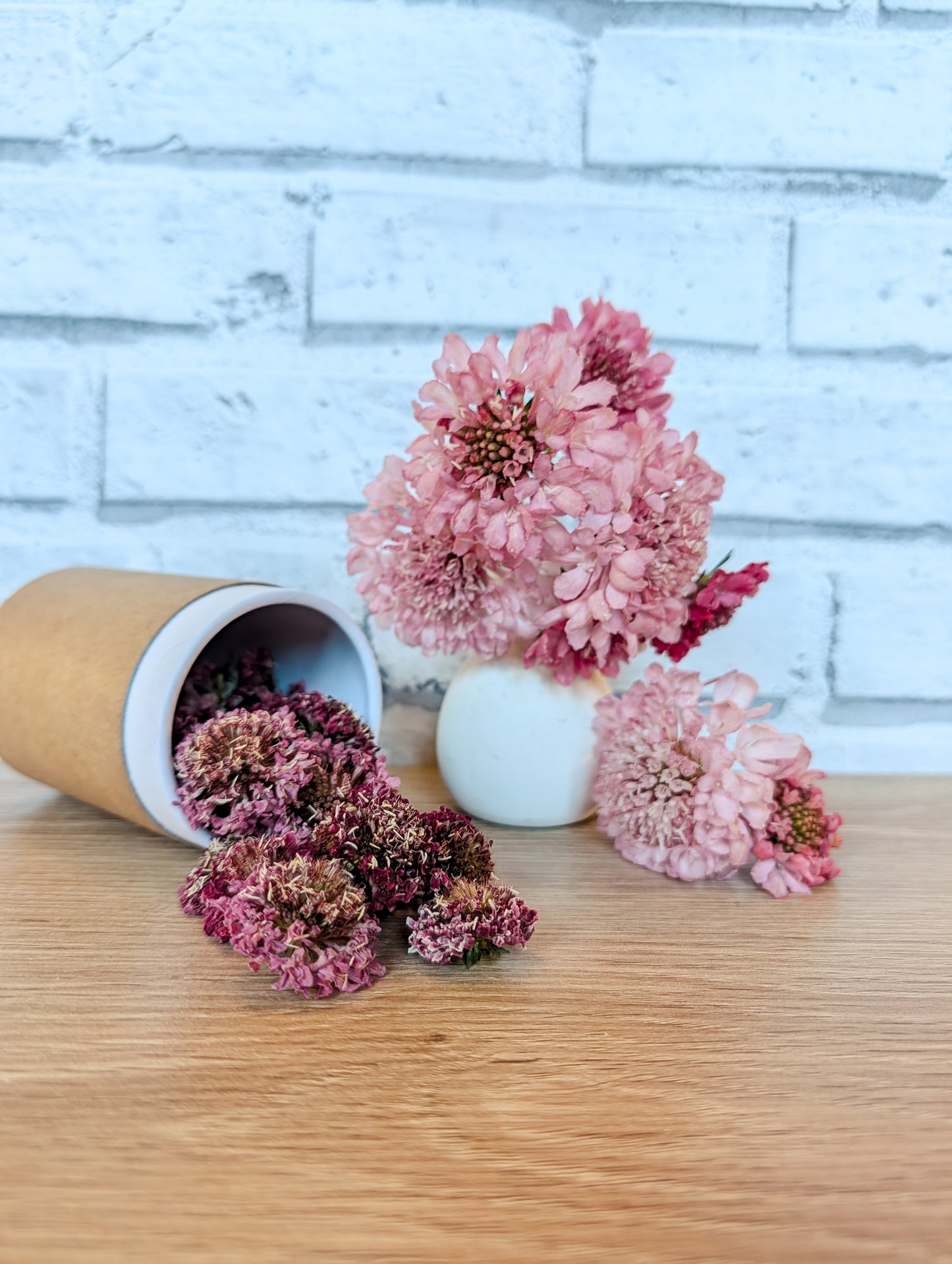 Pincushion