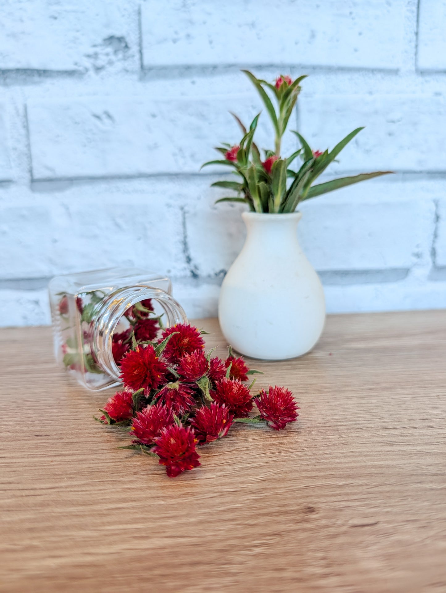 Strawberry Amaranth