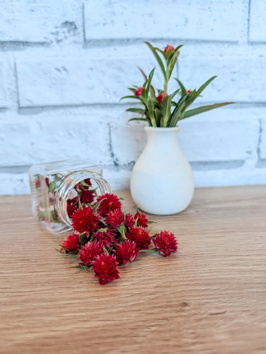 Strawberry Amaranth
