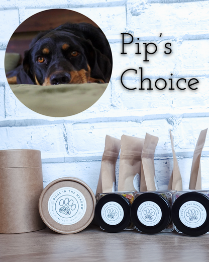 Choice Collection