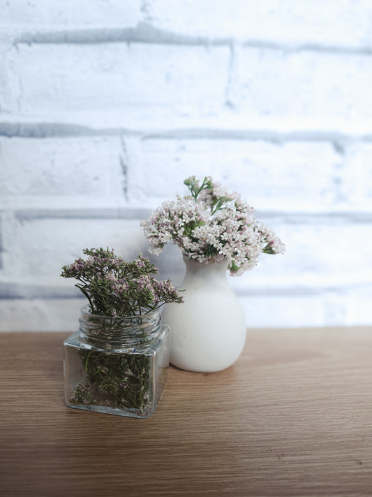 Valerian Flowers