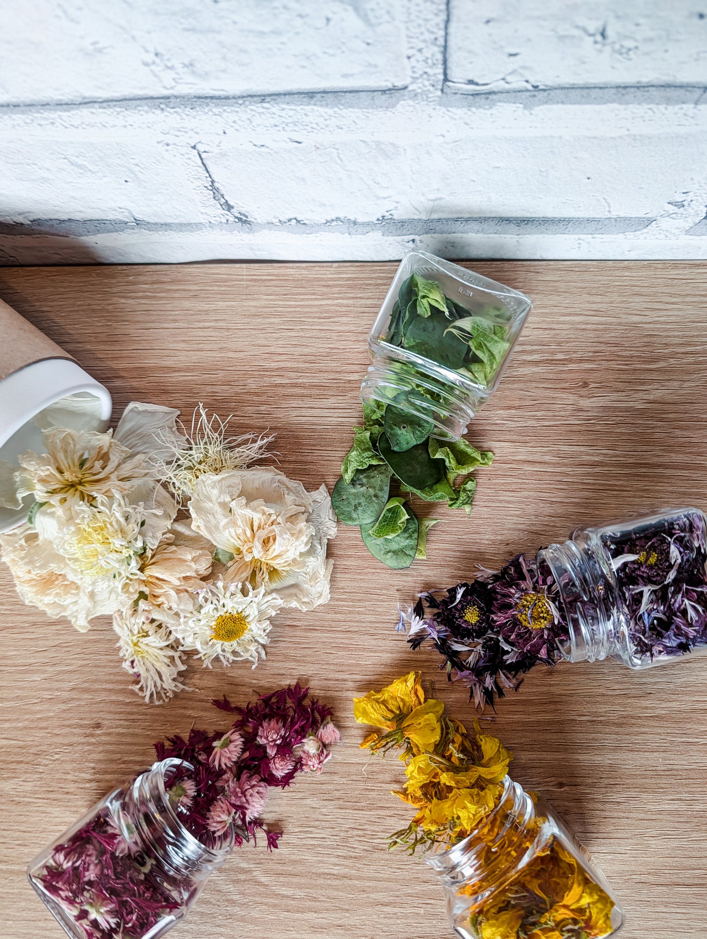 Meadow Enrichment Pack