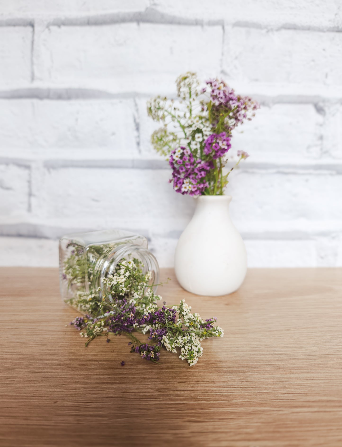 Alyssum