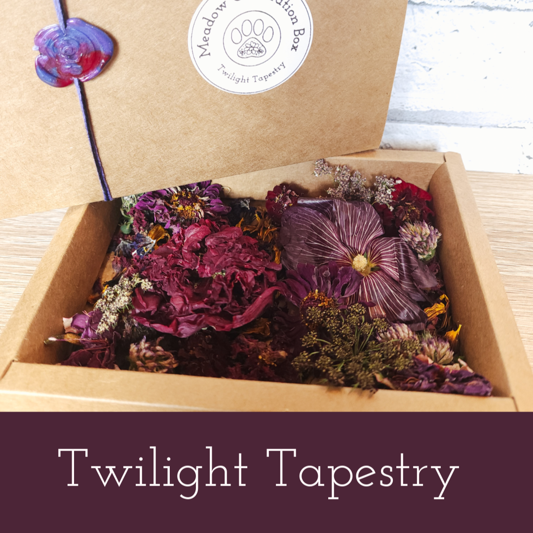 Meadow Celebration Box