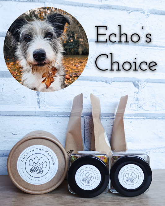 Choice Collection