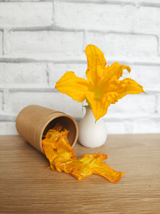 Zucchini Flowers