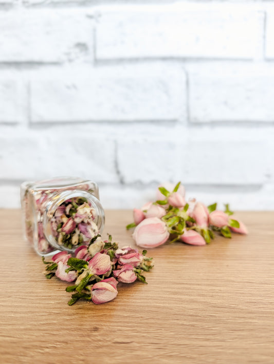 Quince Blossoms